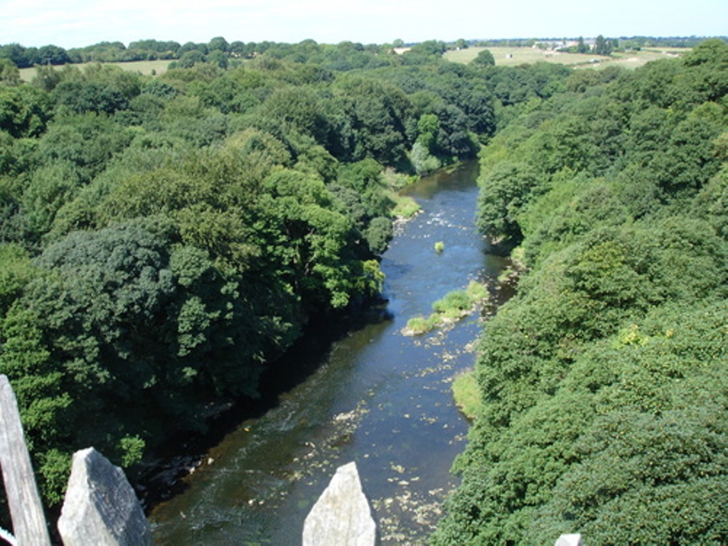 Top_view.jpg